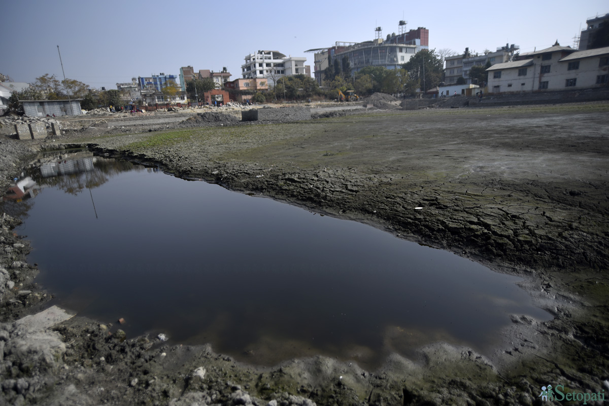 पुनर्निर्माणका नाममा पानी सुकाएपछिको कमलपोखरी। तस्बिर: नारायण महर्जन/सेतोपाटी